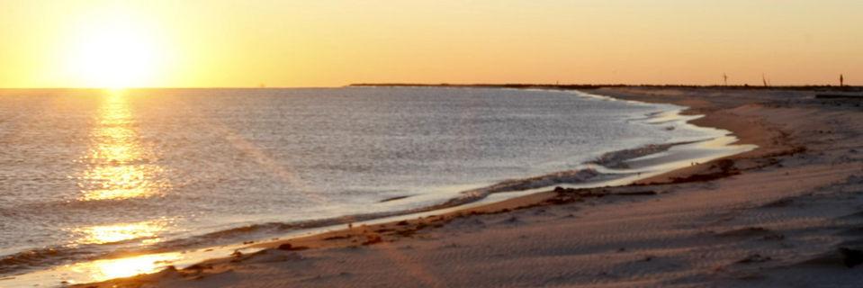brandibulloch's profile banner image