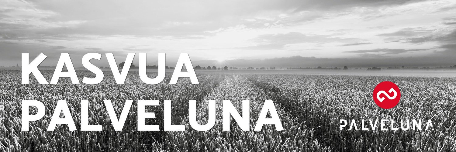 palveluna's profile banner image