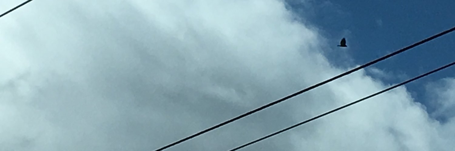 bimfix's profile banner image