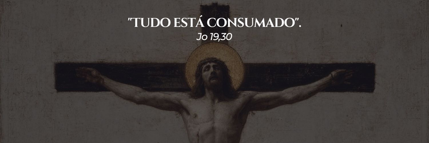 Sr. Ilarindo ᶠᶠᶜ 🇻🇦🇵🇹 banner