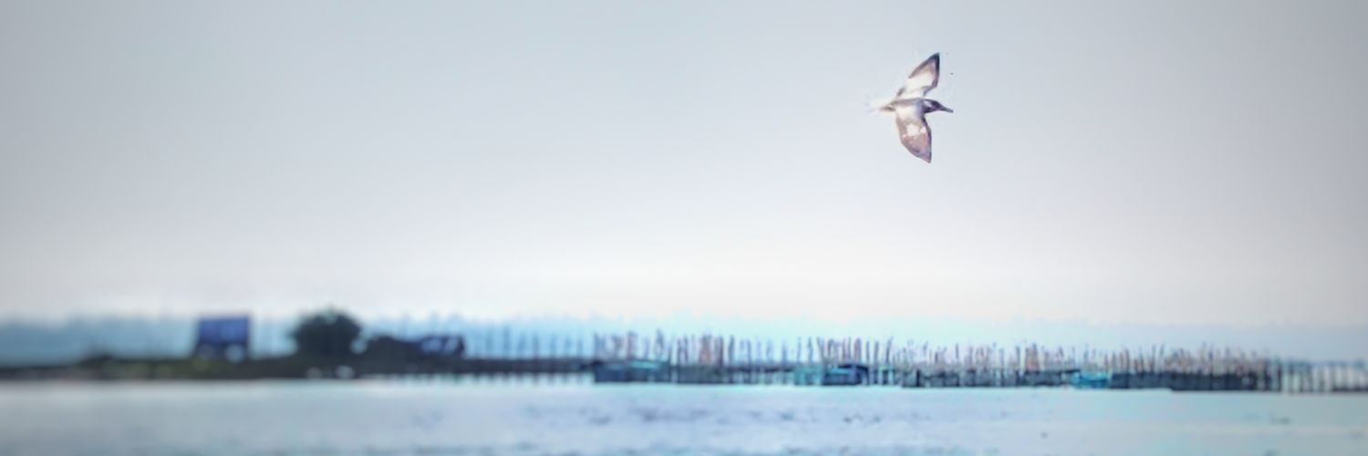 ajbitus's profile banner image
