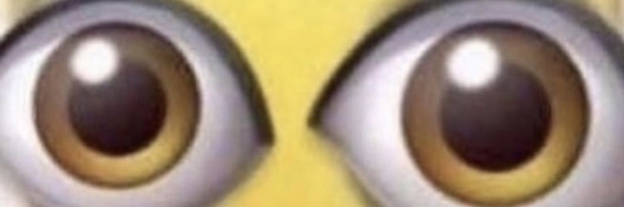 … banner