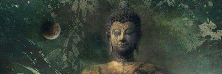 Irume77's profile banner image