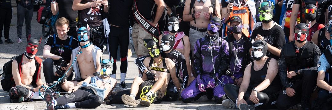 Destro the biting pup banner
