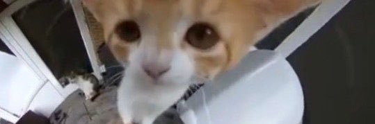 funkyK0ng's profile banner image