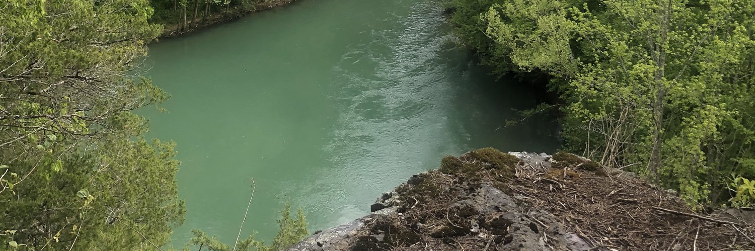 cdrvannatter's profile banner image
