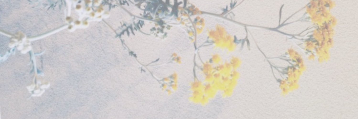 S__Aui's profile banner image
