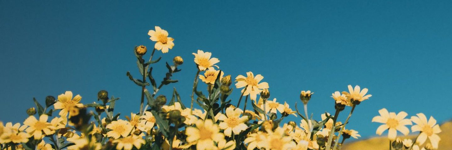 taylorhampton_'s profile banner image