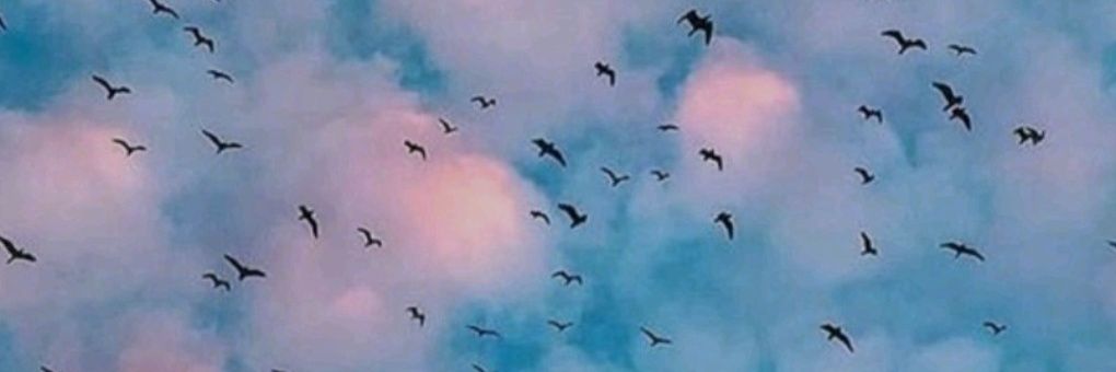 SaamuSweet's profile banner image
