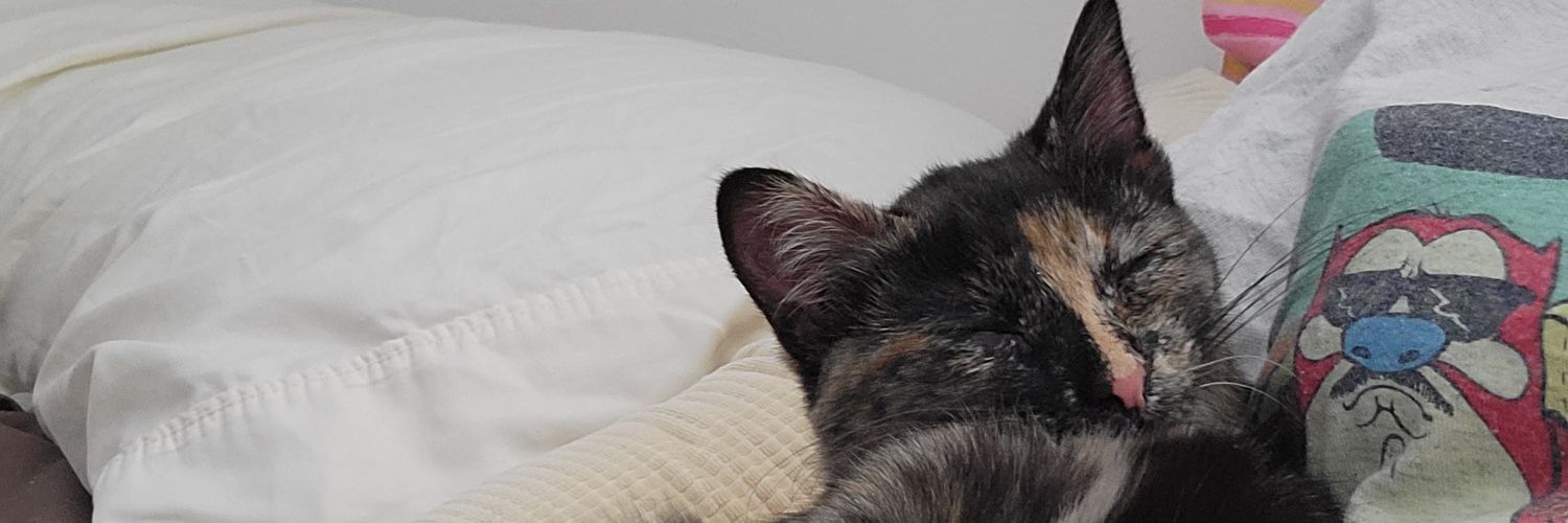 RosengrenAmanda's profile banner image