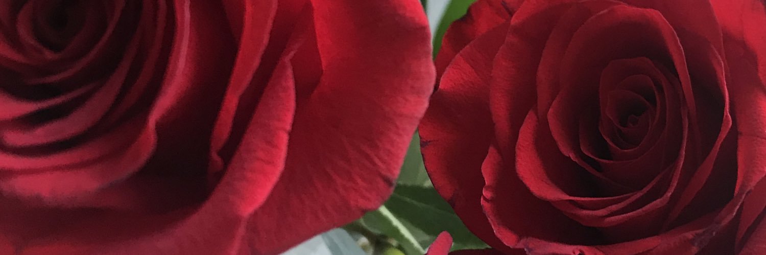 TashinatorLuv's profile banner image