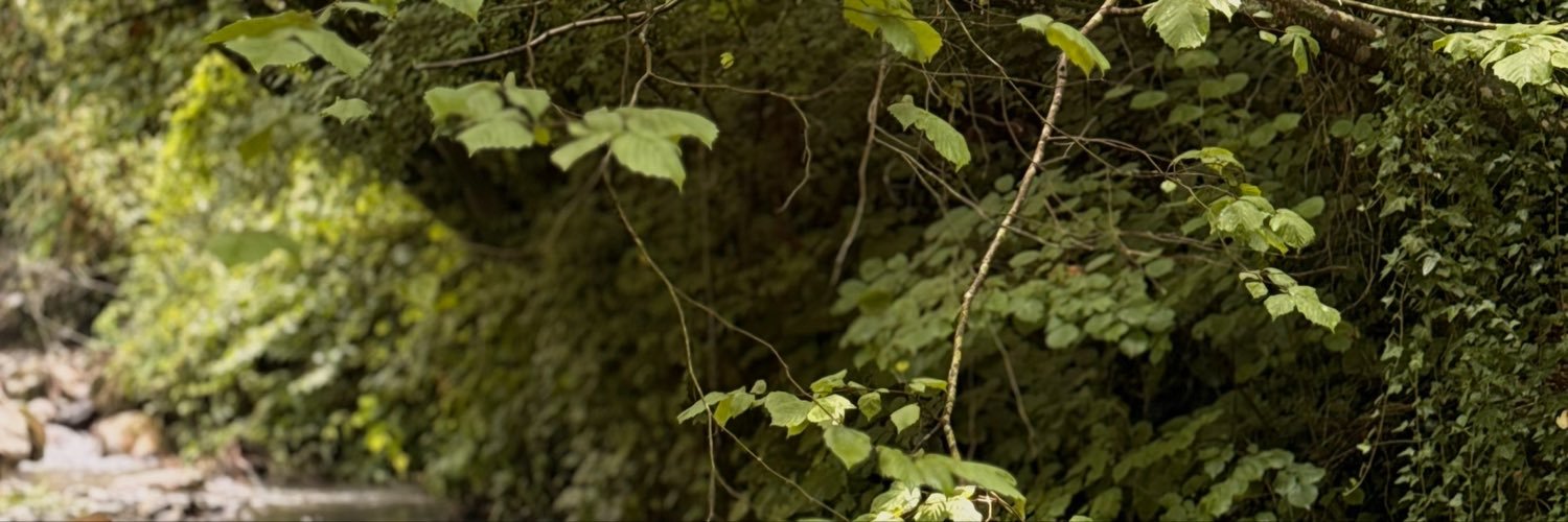 salisssb's profile banner image