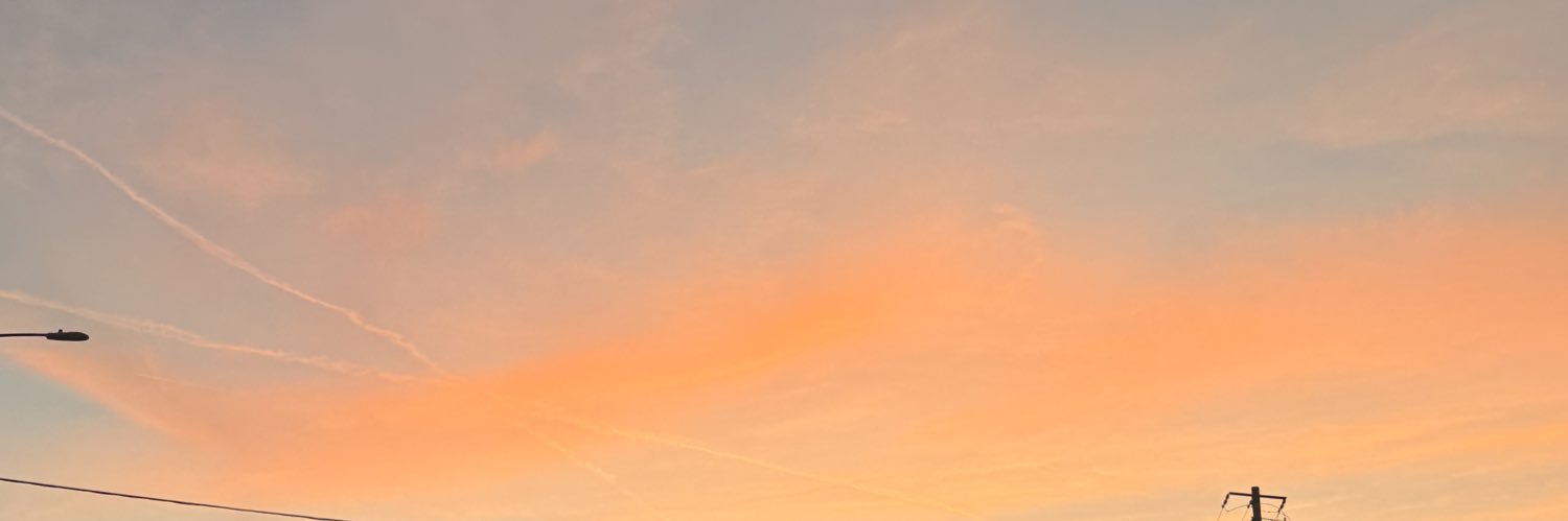 traffasaurus's profile banner image