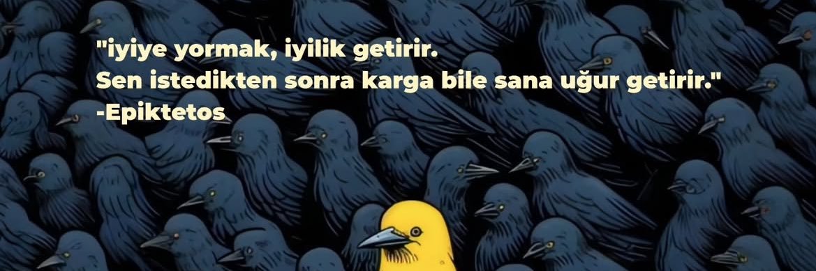 Haticebrtt's profile banner image