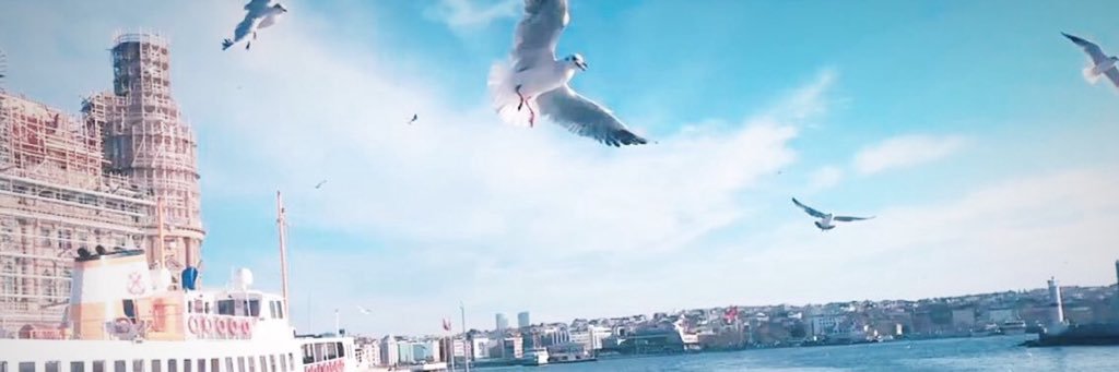 elvnesr's profile banner image