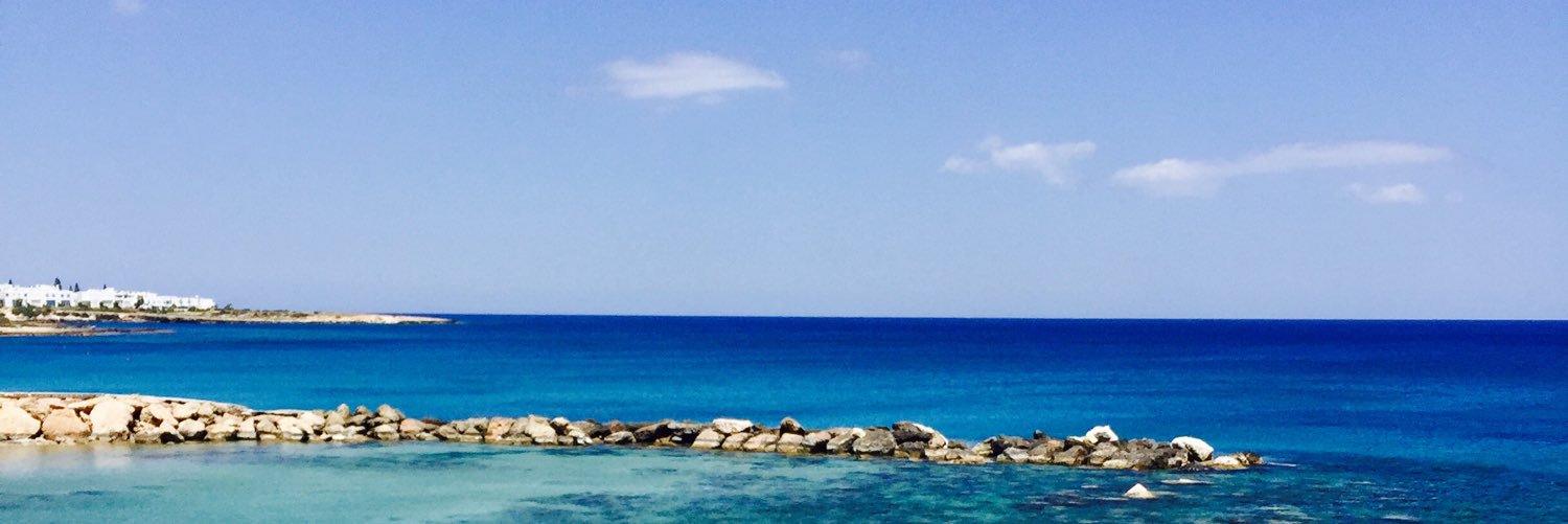 CamilleNeilson's profile banner image
