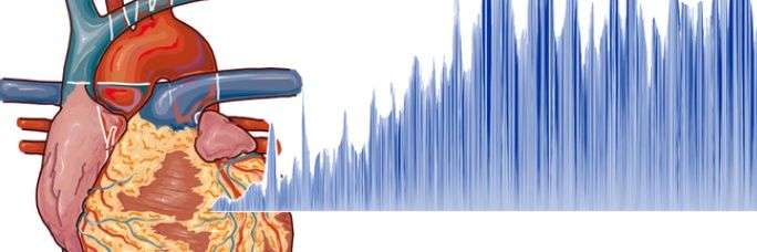 npf_ufmg's profile banner image
