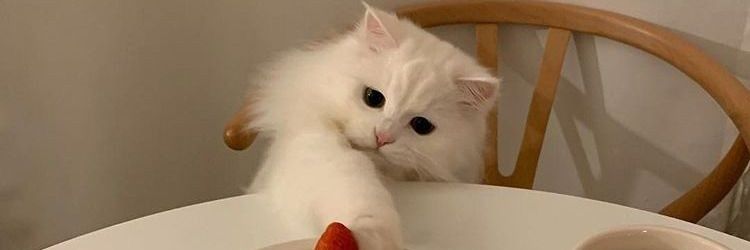 MarB5_'s profile banner image
