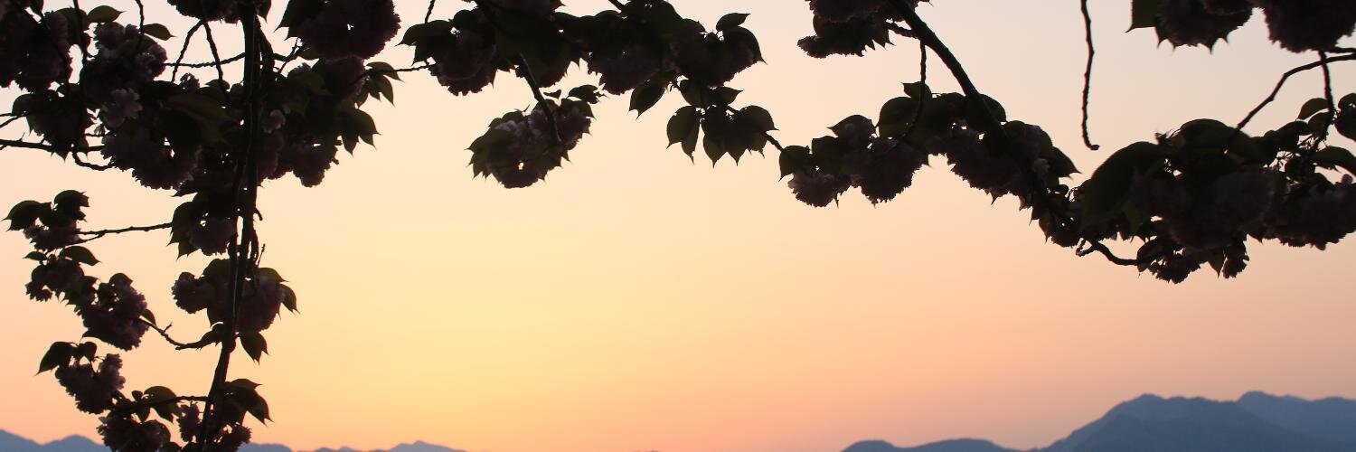 hehenori's profile banner image