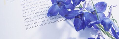 ifelse00's profile banner image