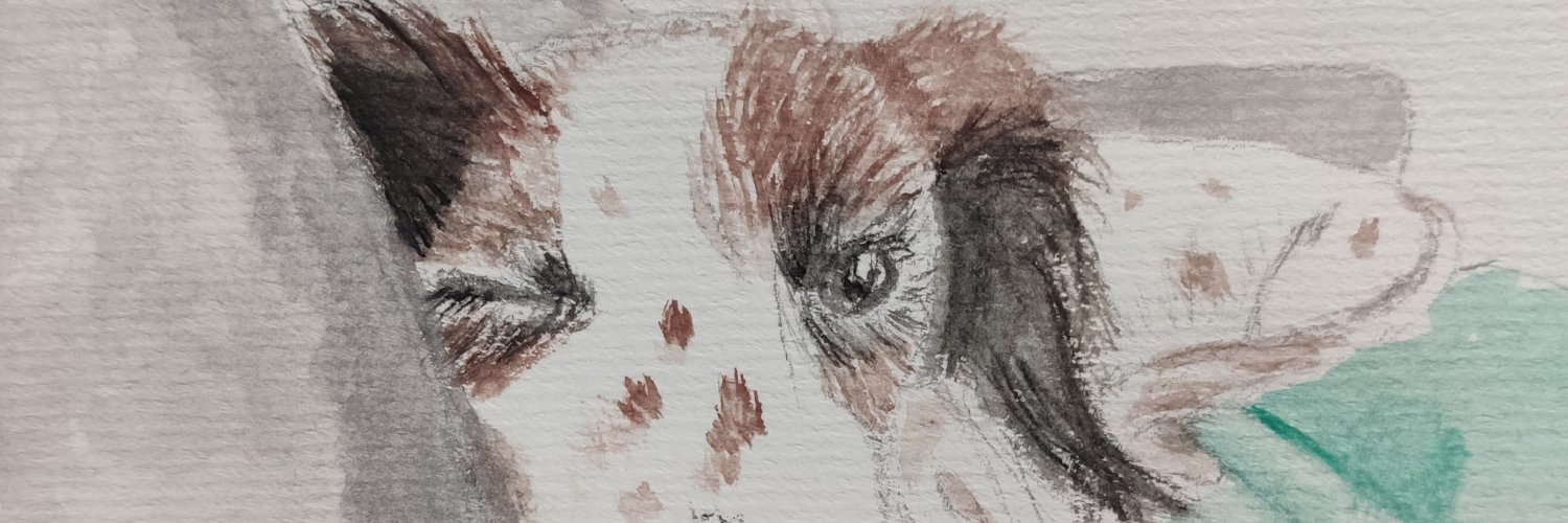 torio_mp's profile banner image