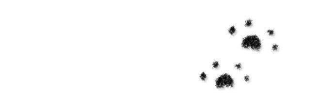 싹트기's banner