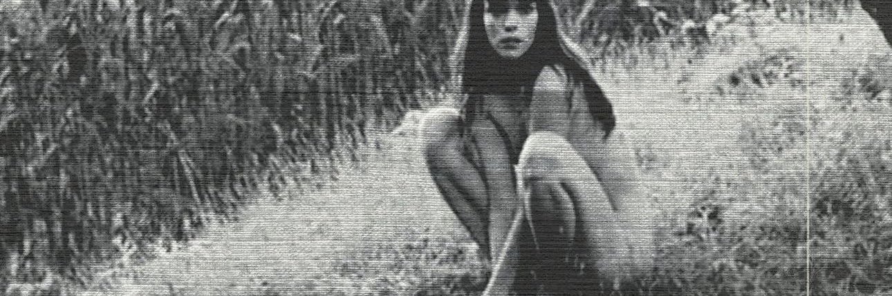 _sofiasr96's profile banner image