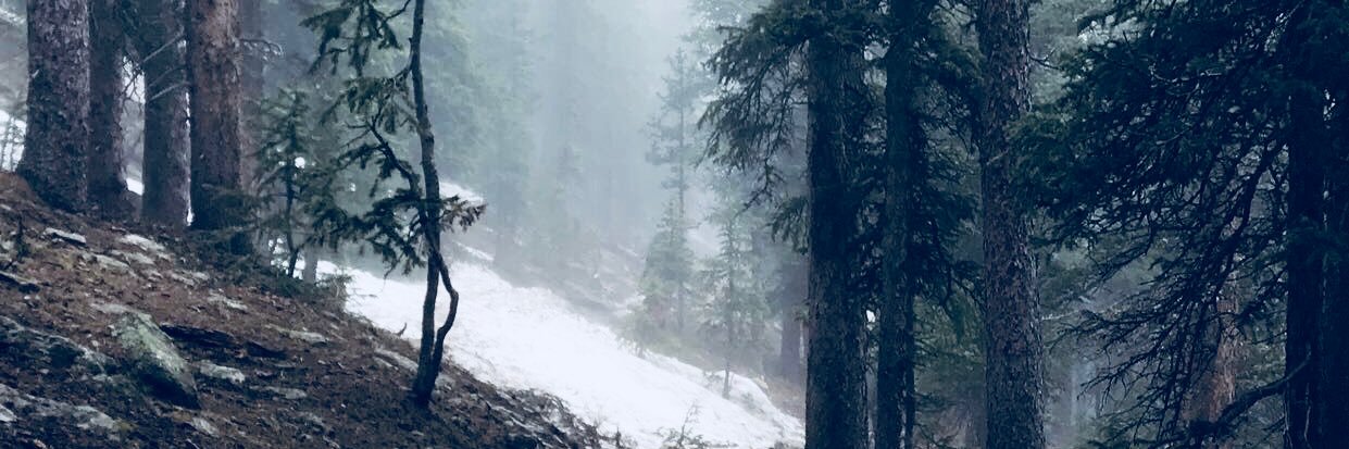 CoreyThorsheim's profile banner image