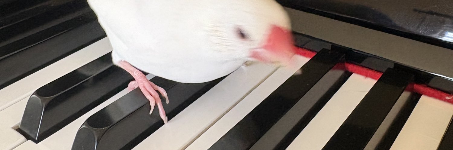 lululin34's profile banner image