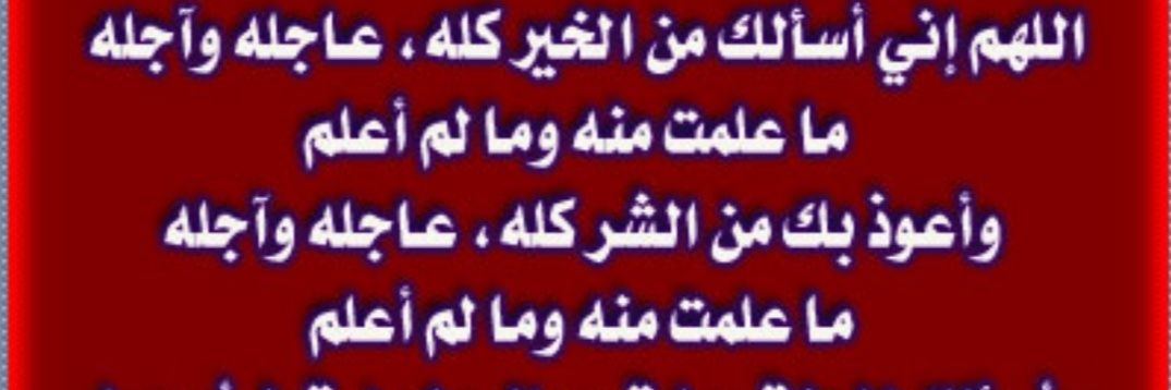 أ.د. صفية عبدالله احمد بخيت banner