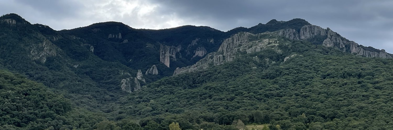 Rodolfo Nogués banner