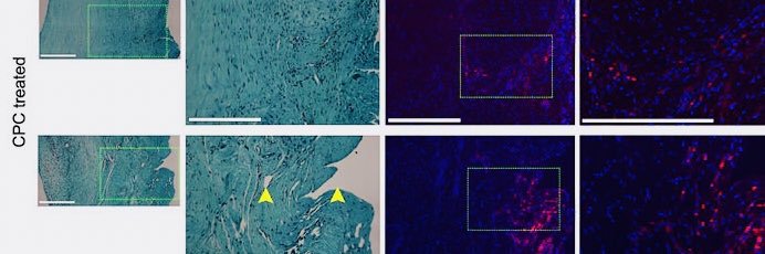 Jayasuriya Lab banner