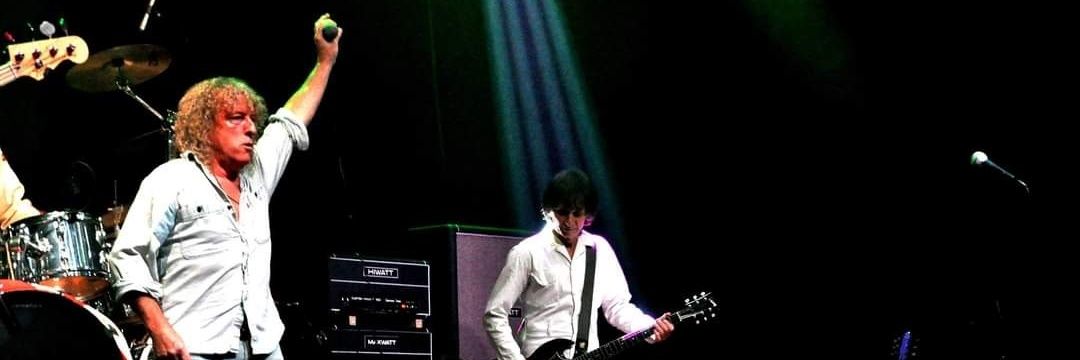 THE WHOLIGANS banner