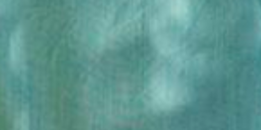 Bridget Harrington banner