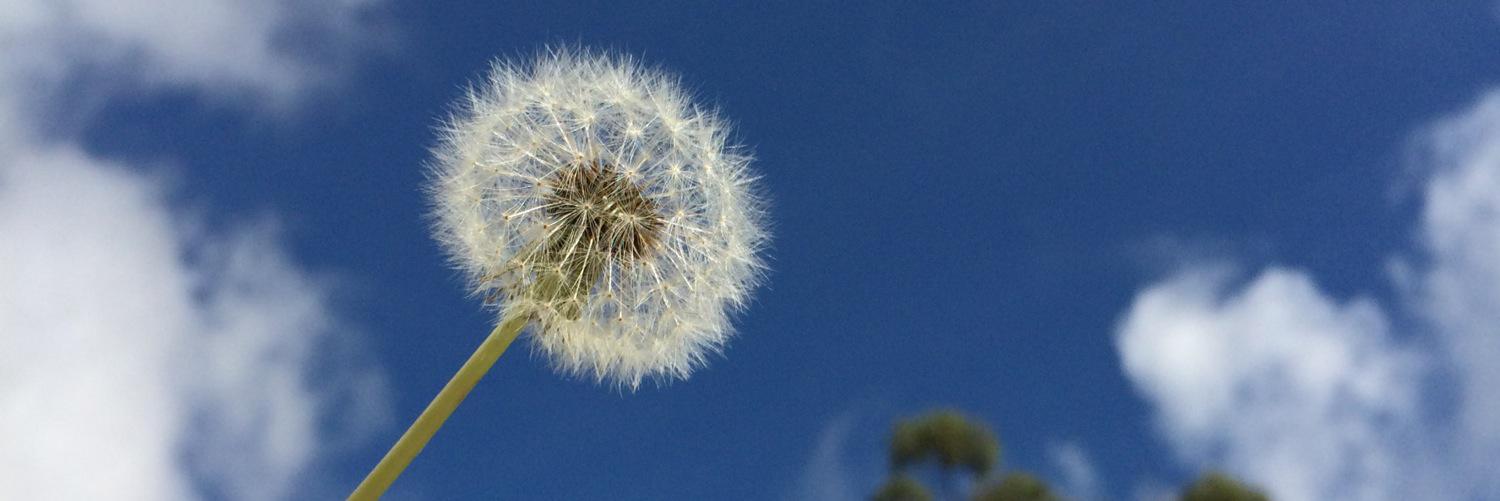 carmendvz's profile banner image