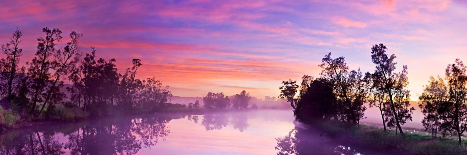 YvonneTYu's profile banner image