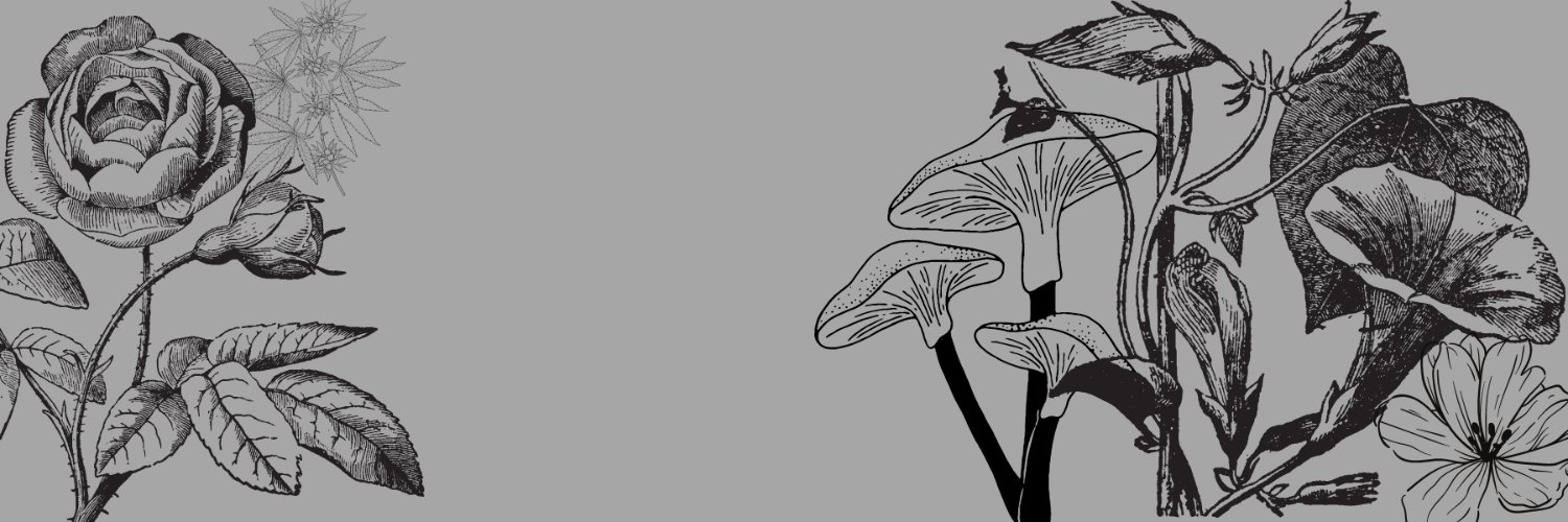 Kelli Lynn Grey banner