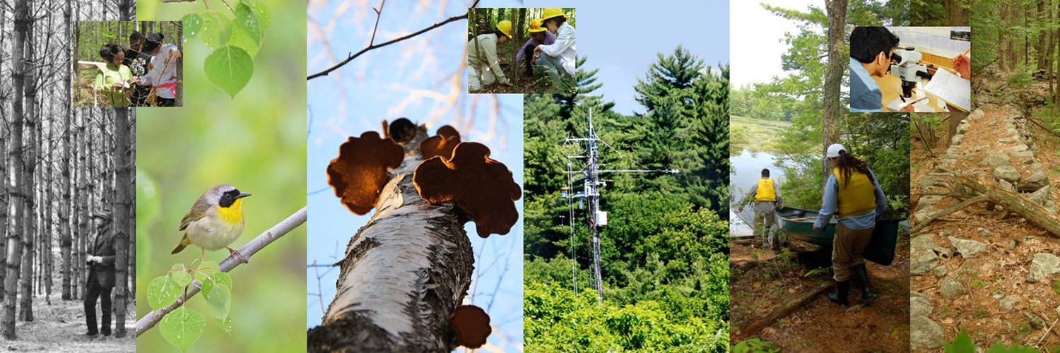 HarvardForest's profile banner image