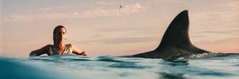 coralie banner