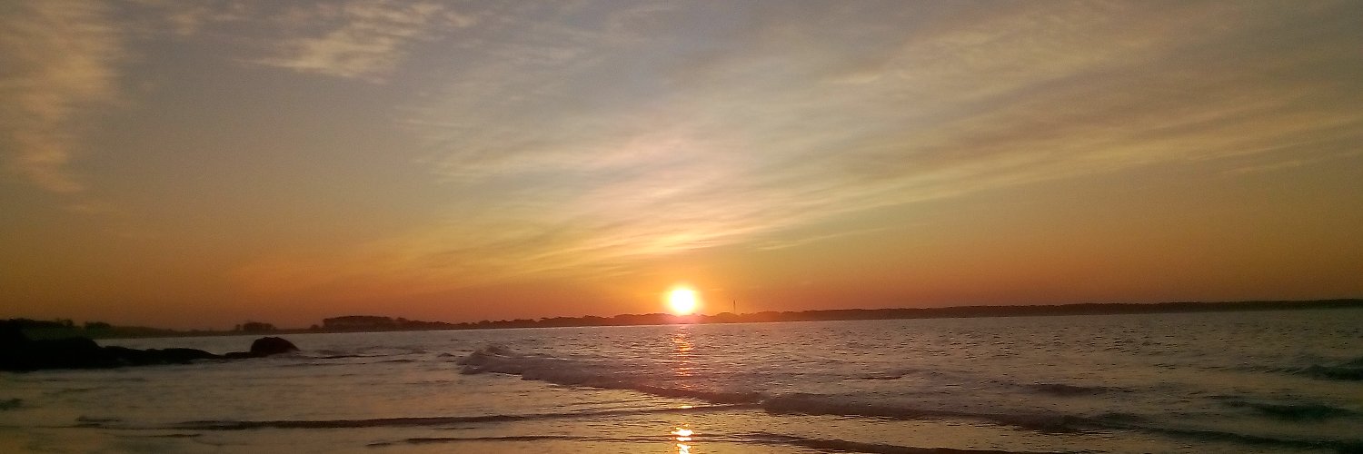 Charlsmander's profile banner image