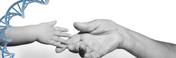 ahlresearch Profile Banner