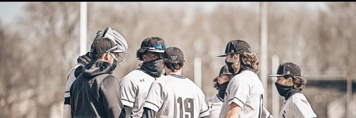 Sussex Tech Baseball banner
