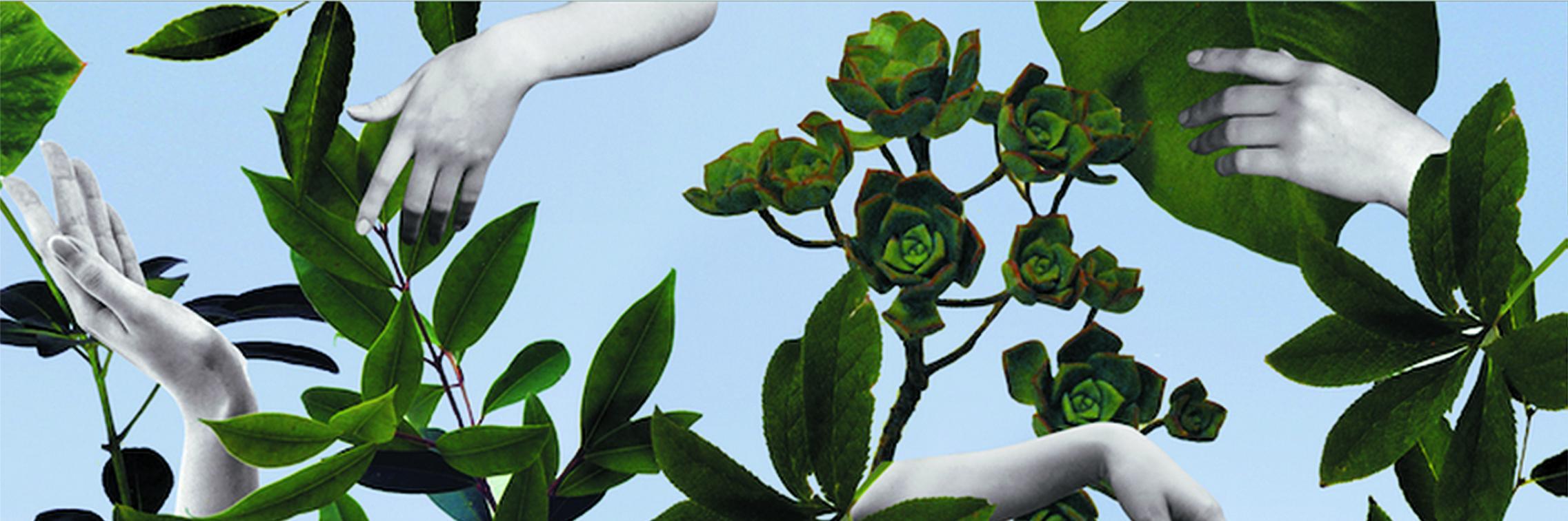 ale_tere's profile banner image