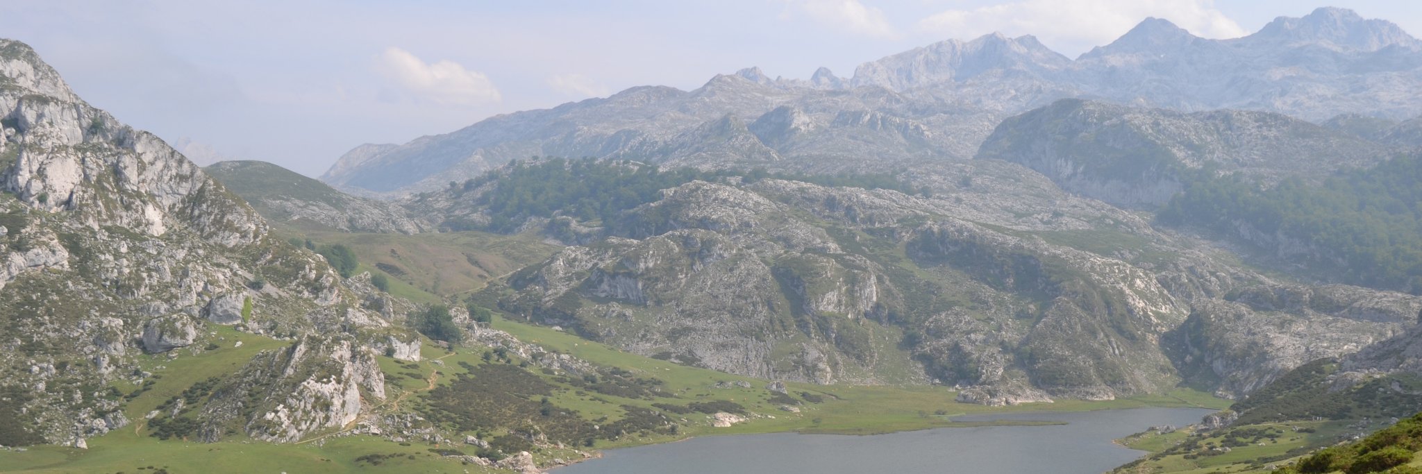 Diego Profe Físico banner