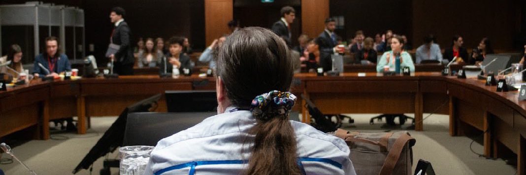 Kahnekí:io💟🇵🇸 banner