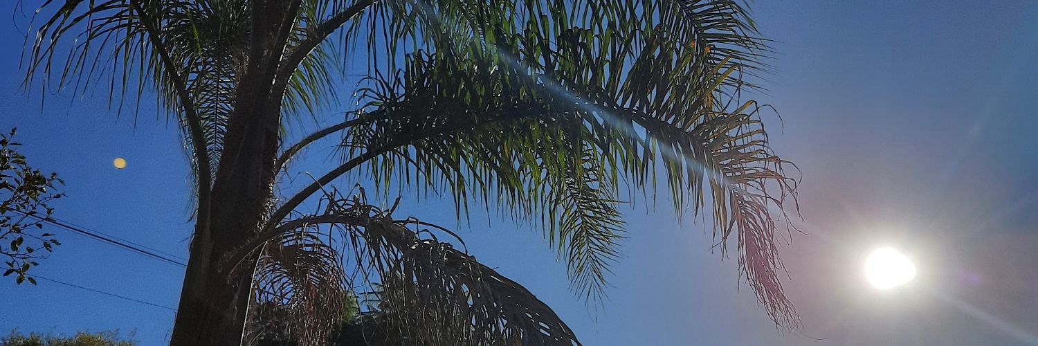 ꜰʟᴏʀ•🩷 banner