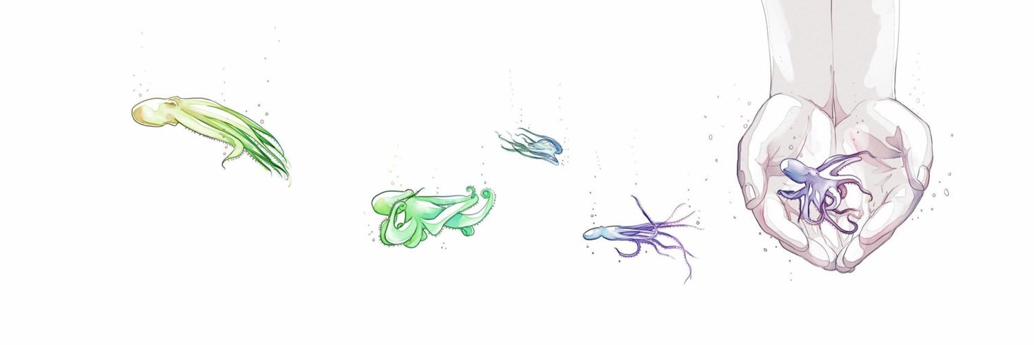 Octopuhs's profile banner image