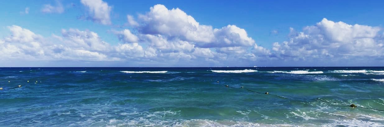 HuidasXMexico (Mar) banner