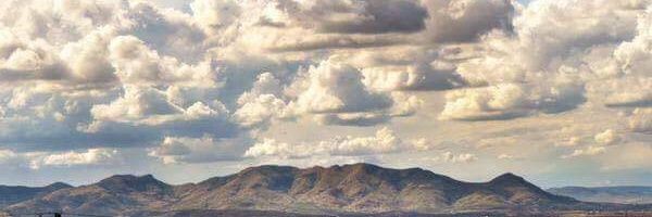 Ale banner