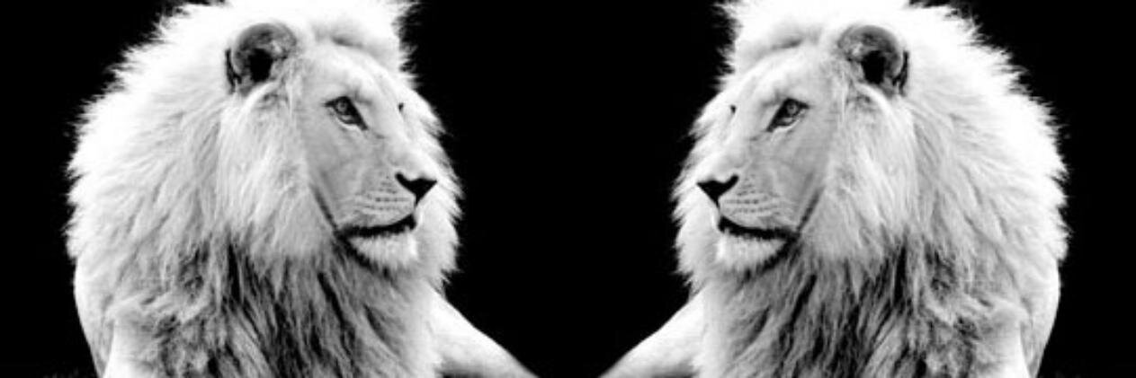 inspiredleolady's profile banner image
